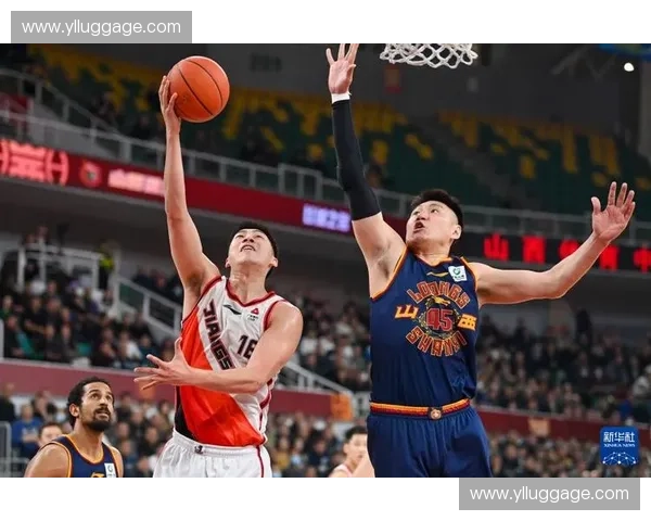 体育论坛热议赛场风云球迷互动观点碰撞深度交流平台体育精神时代